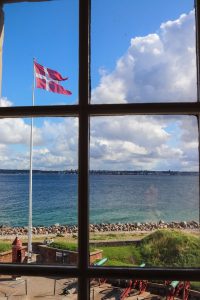 Denmark flag on top of pole above cannons and trees near the sea during day